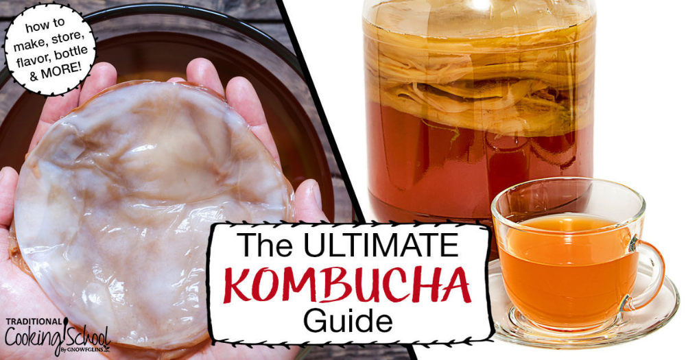 The ULTIMATE Kombucha Guide