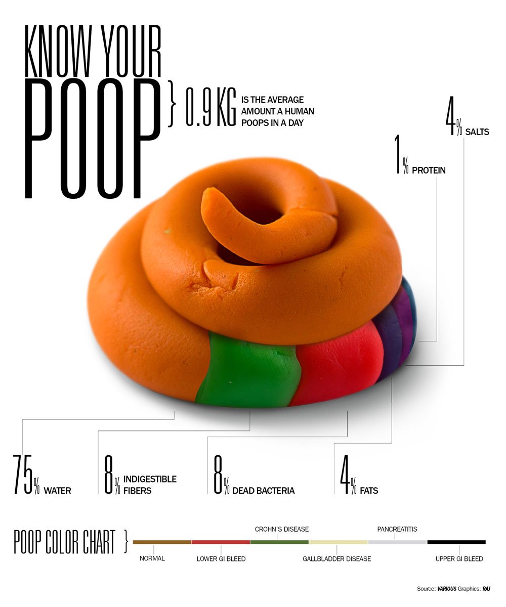 Three of the Best Poo InfoGraphics on the Web [infographic ...