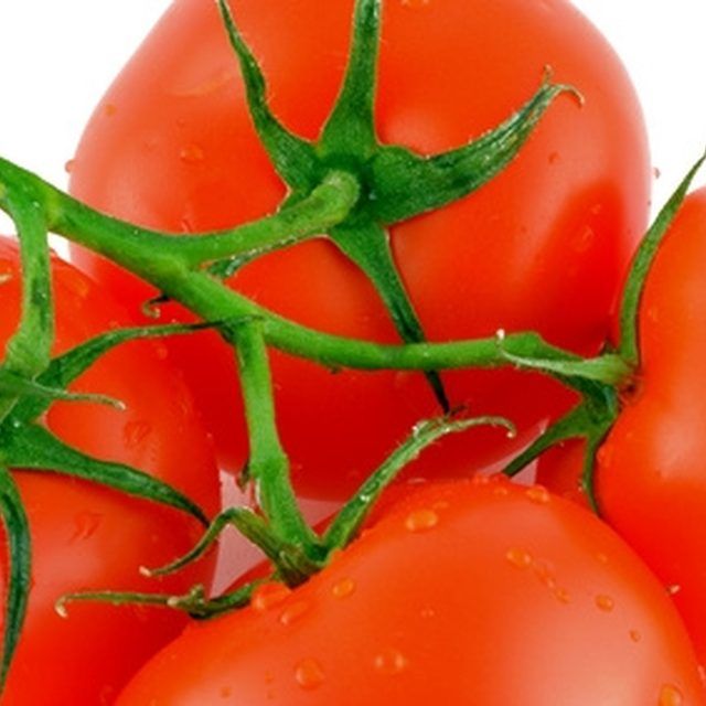Tomato Plants and Epsom Salt