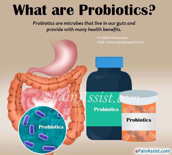 What are Probiotics &  Can it Cause Bloating And Gas? How to Manage it?