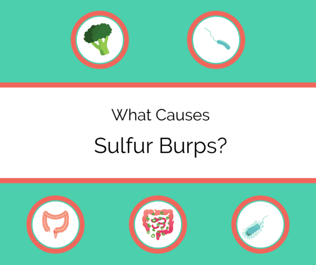 What are Sulfur Burps? Causes and Treatments