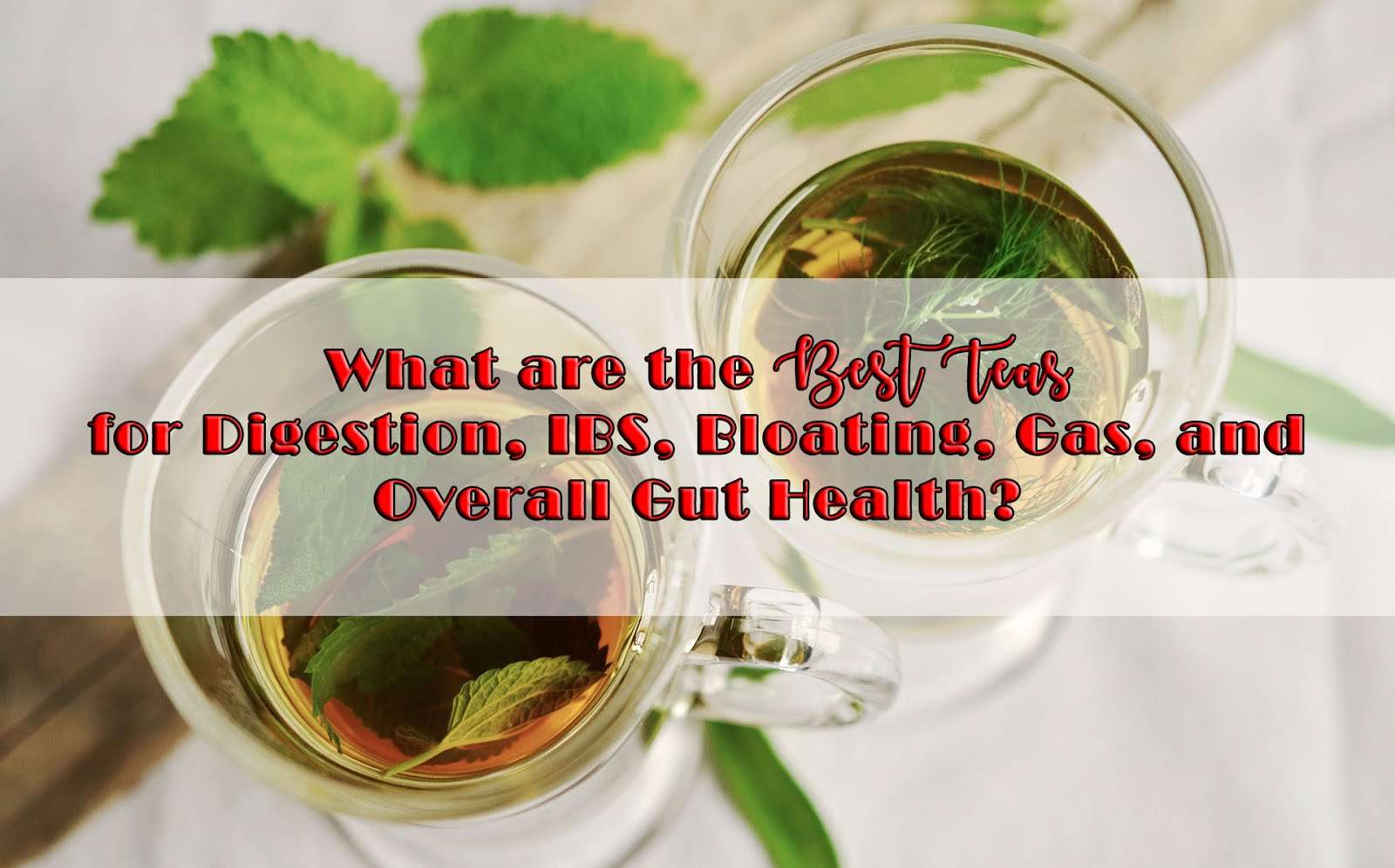 What are the Best Teas for Digestion, IBS, Bloating, Gas ...