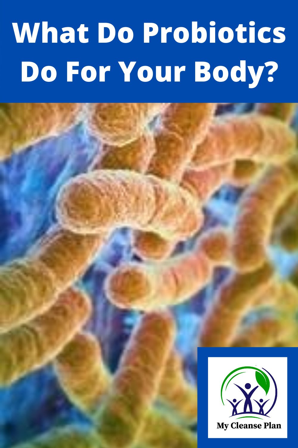 What Do Probiotics Do For Your Body? Do They Really Keep ...