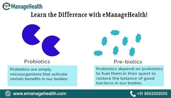 What is the difference between prebiotics and probiotics?