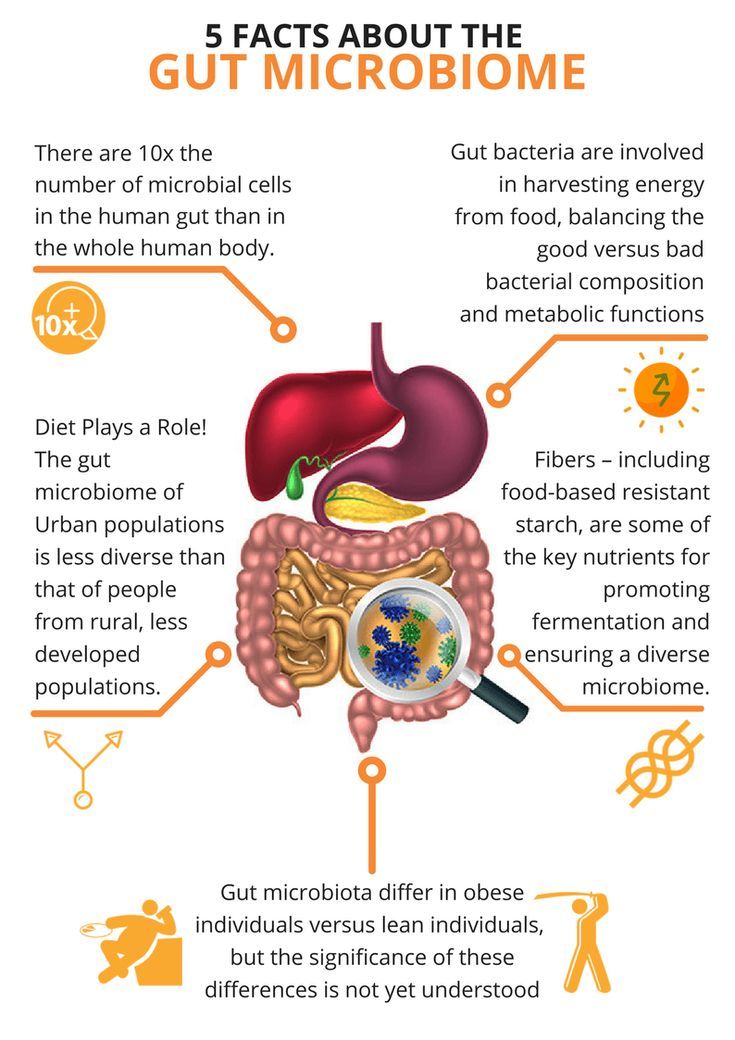 What is the Gut Microbiome
