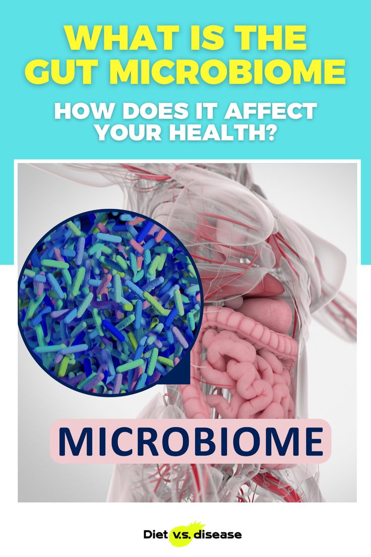 What is the Gut Microbiome and How Does it Affect Your ...