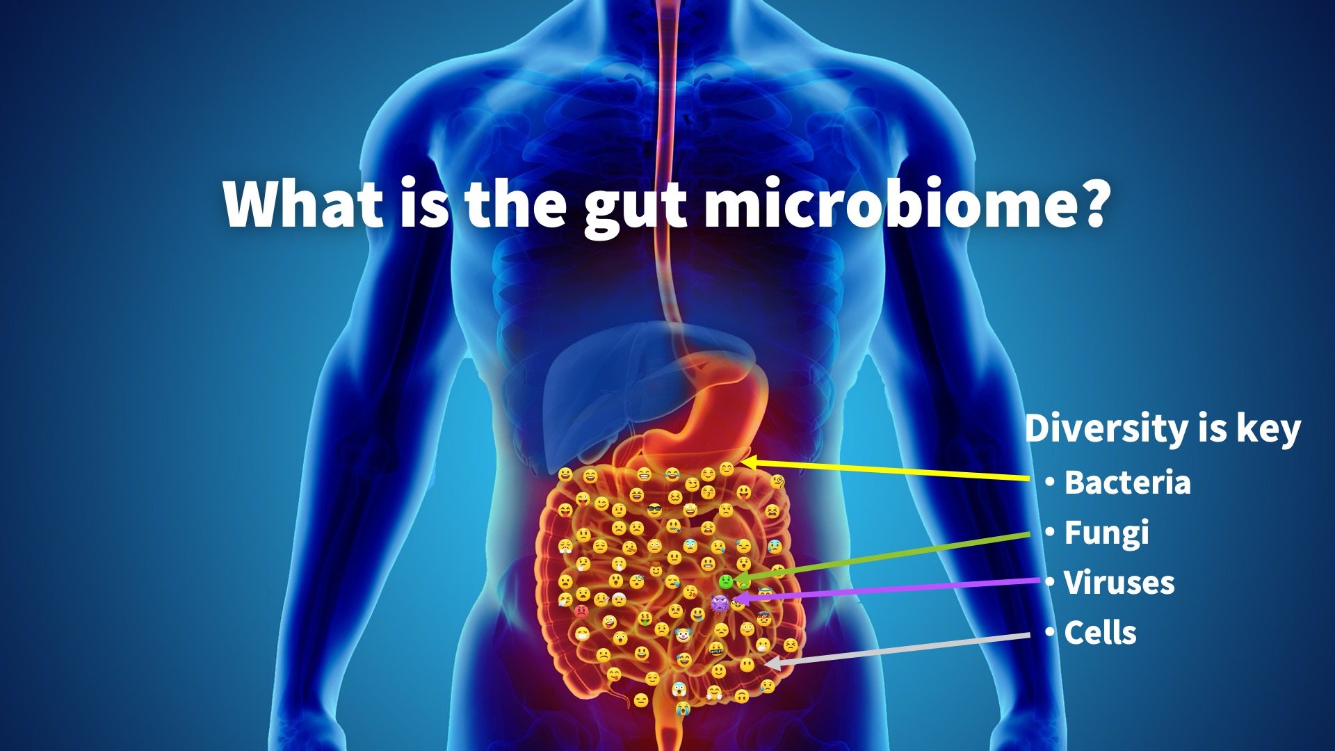 What is the gut microbiome?