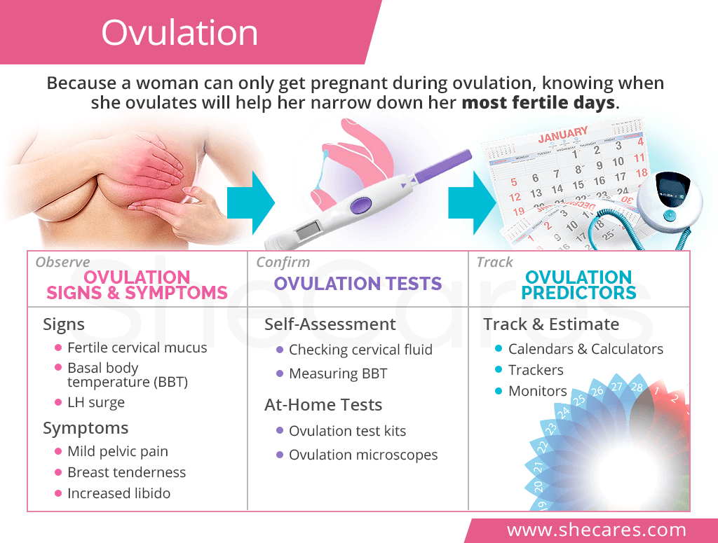 What Symptoms Do You Have When You Are Ovulating