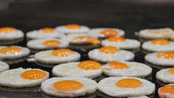Why Do Eggs Give Me Diarrhea?  4 Reasons