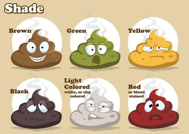 Your Poop Questions Are Now Answered