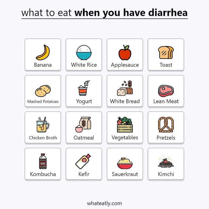 Your search for what to eat when you have diarrhea ends here. We